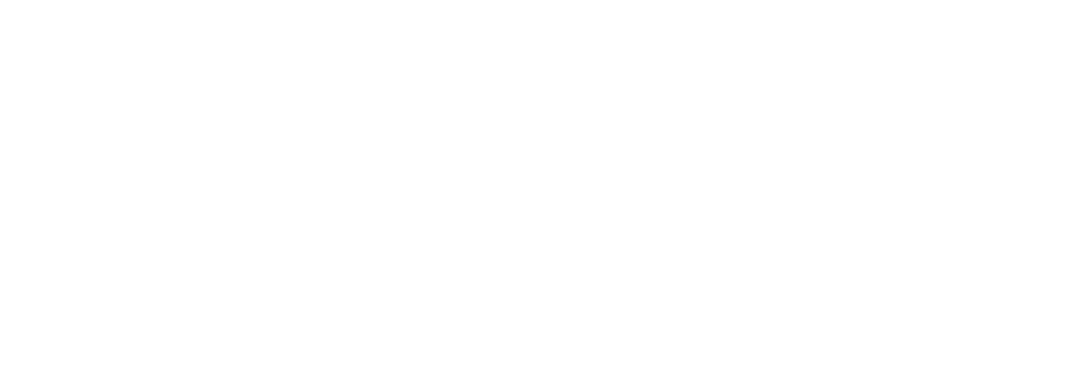 TranSanPablo Transporte y Logística